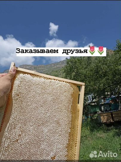 Горный дикий мёд