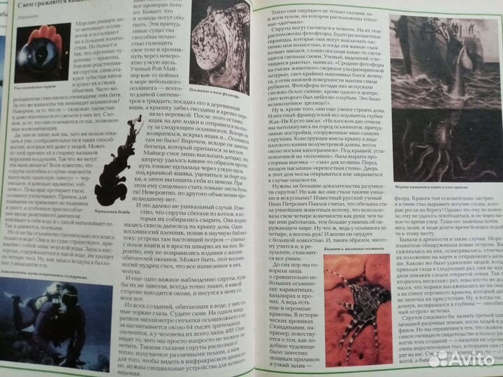 Книга для маленьких почемучек