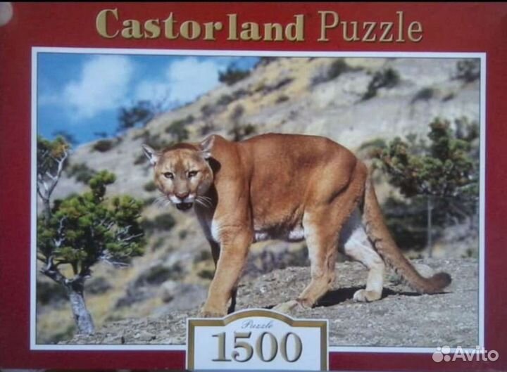 Пазлы Касторланд редкие