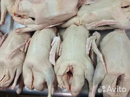 Тушки уток- и гусей