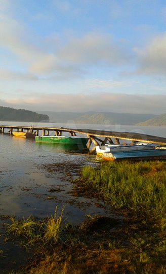 Участок 35 сот. (СНТ, ДНП)