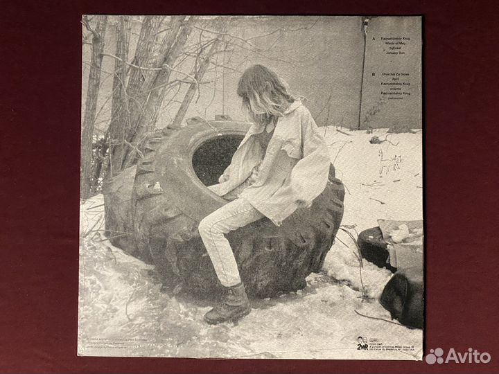 Kedr Livanskiy «January Sun» (USA)