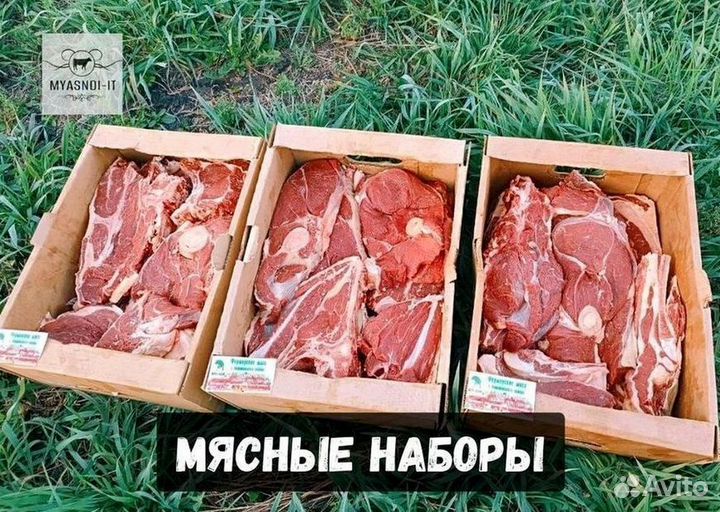 Мясо телятины