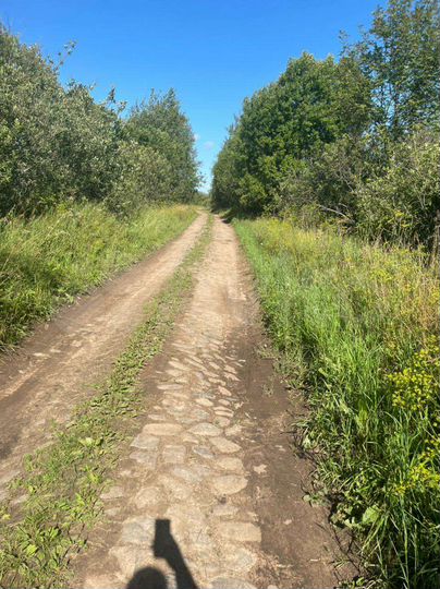 Участок 534,36 га (СНТ, ДНП)