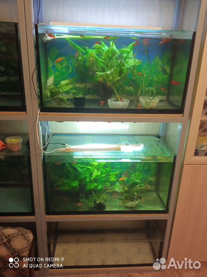 Аквариумы 100 л и 40 л (6 шт.)