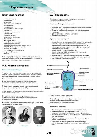 Лекции по биологии для подготовки к ОГЭ ЕГЭ