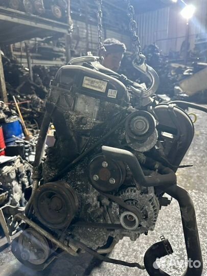 Двигатель Ford Focus aoda 2.0