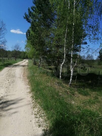 Участок 80 сот. (ИЖС)