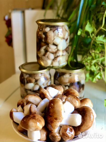 Грибы валуй марин-ый, груздь соленный