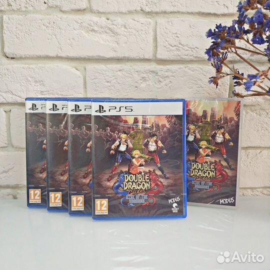 Double Dragon Gaiden: Rise Of The Dragons