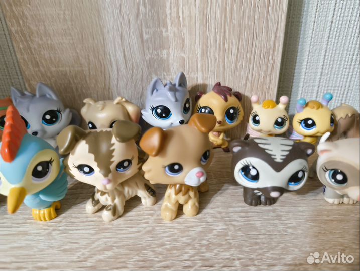 Littlest pet shop