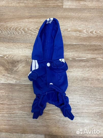 Одежда для собак мелких пород