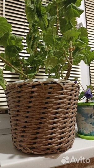 Кашпо из полиротанга