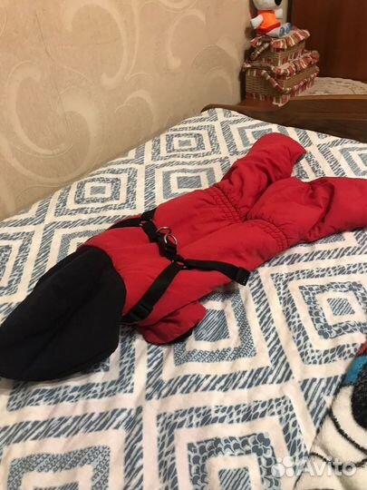 Одежда для средних собак