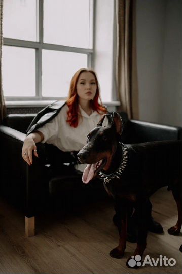 Фотосессия с доберманом