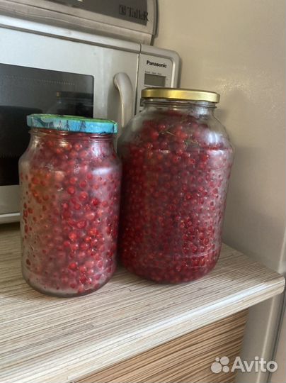 Красная смородина