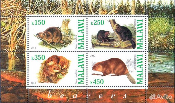 Малави. 2010 г. Фауна. Два блока