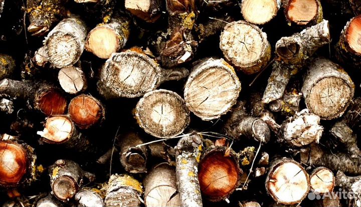 Дрова для бани