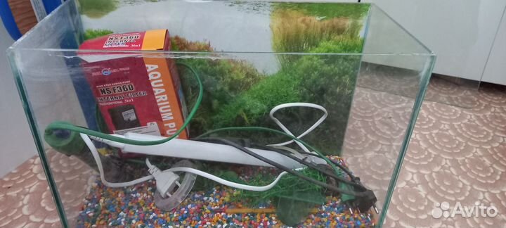 Аквариум + все необходимое