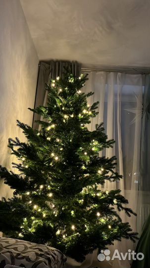 Царь елка литая 210