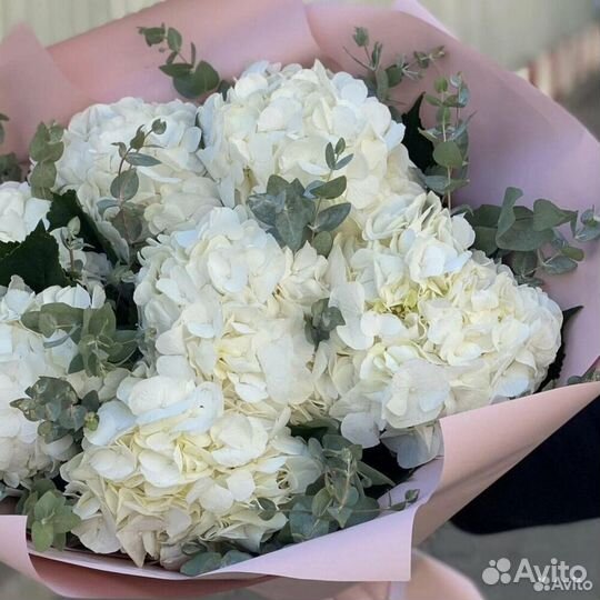 Букет из 9 белых гортензий с эвкалиптом