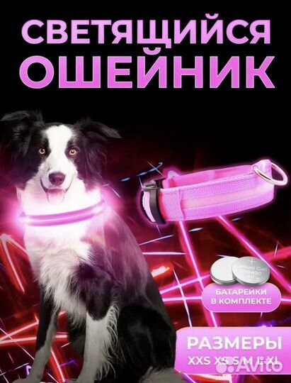 Светящийся ошейник для собак