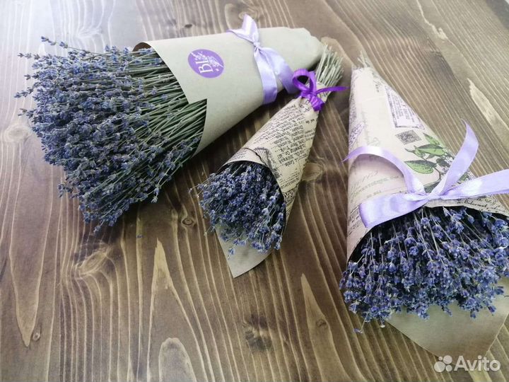 Лаванда сухоцвет