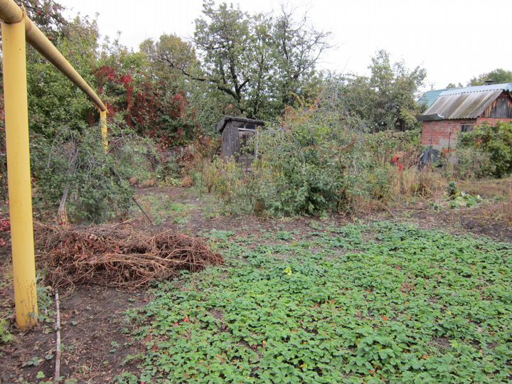 Дом 30,1 м² на участке 6 сот.