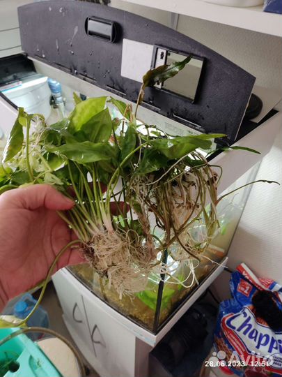 Аквариум три 120л, 55л, 50л, 5л