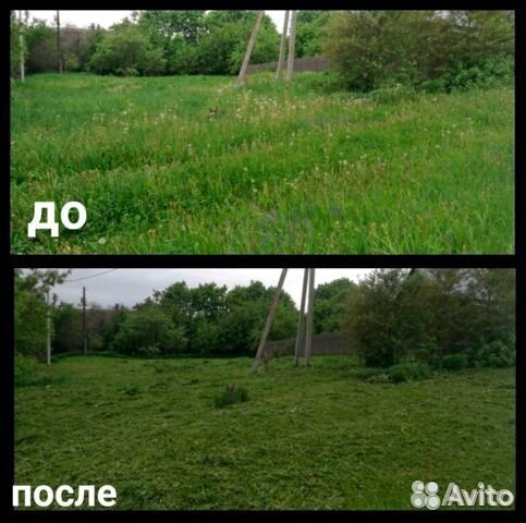 Сад огород