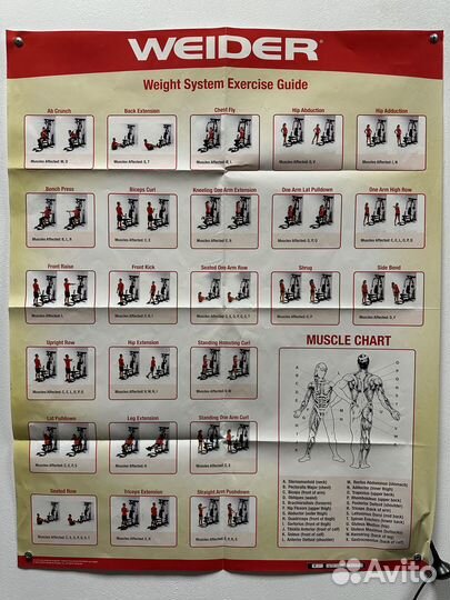 Тренажер профессиональный