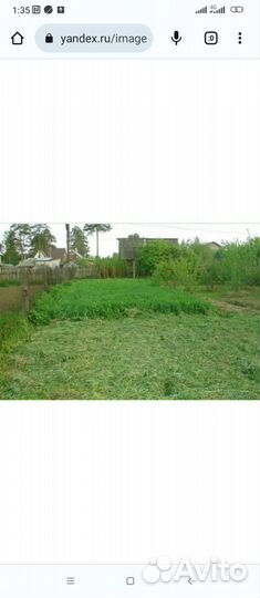 Покос травы триммером