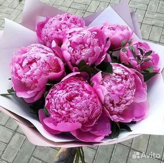 Пионы Букеты Цветы Доставка