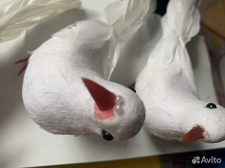 Свадебные голуби