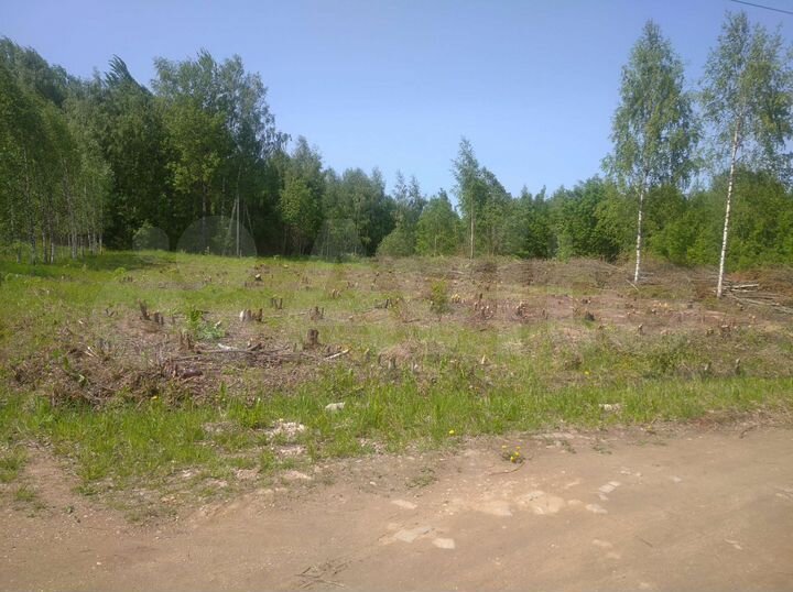 Участок 19,6 сот. (ИЖС)