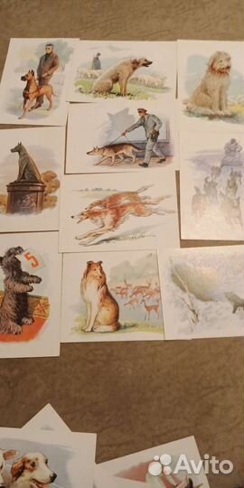 Набор открыток