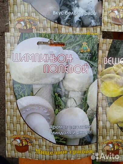 Грибница мицелий для выращ грибов дома шамп. и пр