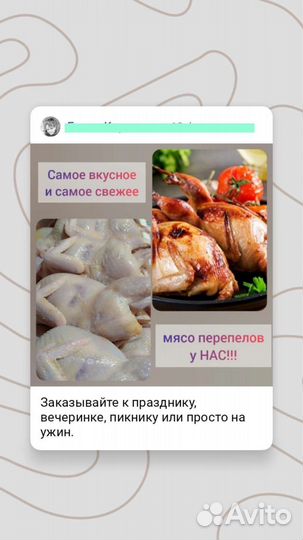 Мясо перепелов