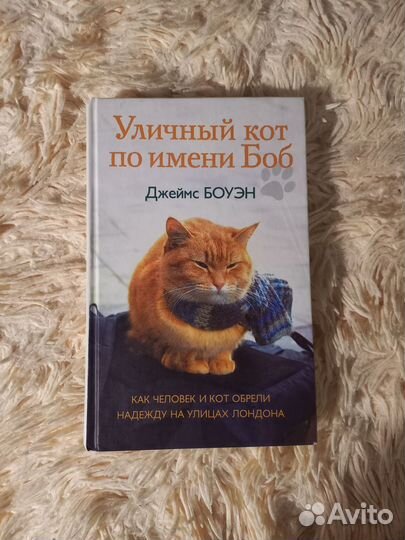 Уличный кот по имени Боб, Джеймс Боуэн