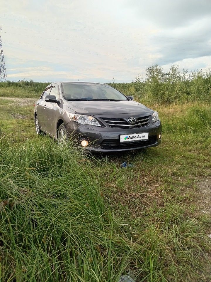 Toyota Corolla: фото владельца