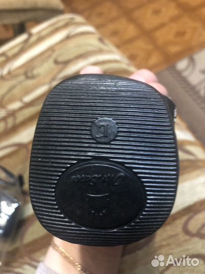 Одежда для животных