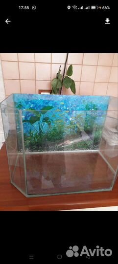 Аквариум