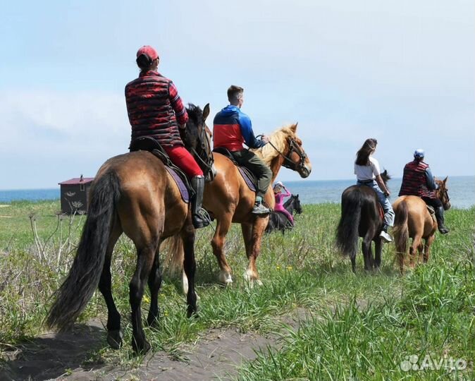 Конные прогулки