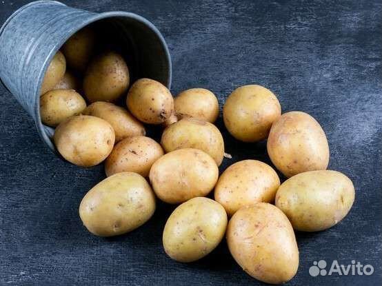 Продам картофель