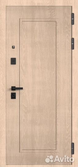 Железная дверь с зеркалом