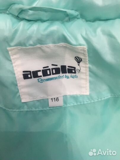 Стильная курточка акула Acoola 110-116