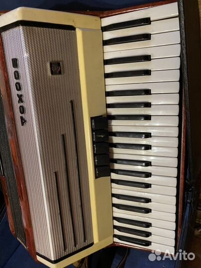 Аккордеон Восход