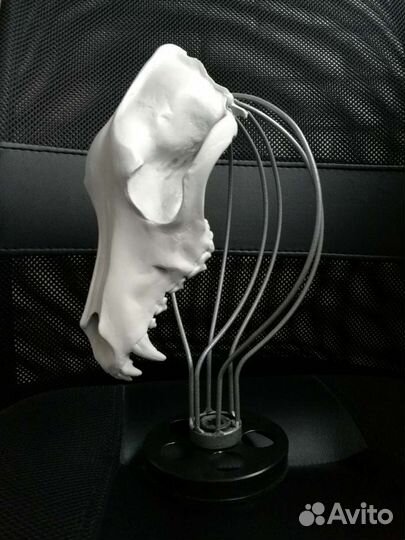 Предмет интерьера, декор,череп, подарок