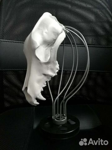 Предмет интерьера, декор,череп, подарок