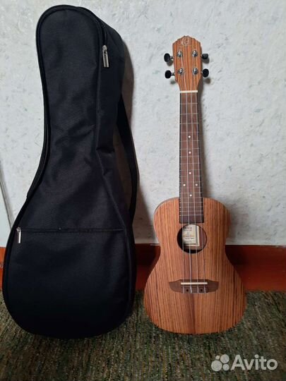 Укулеле концерт